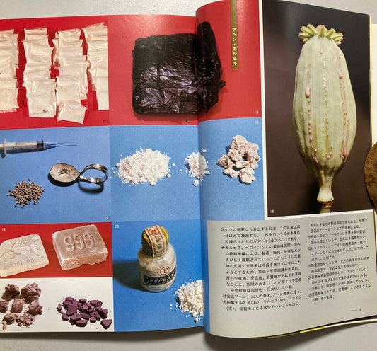 Kazuo Kenmochi Narcotic Document 1990's Revised ed
