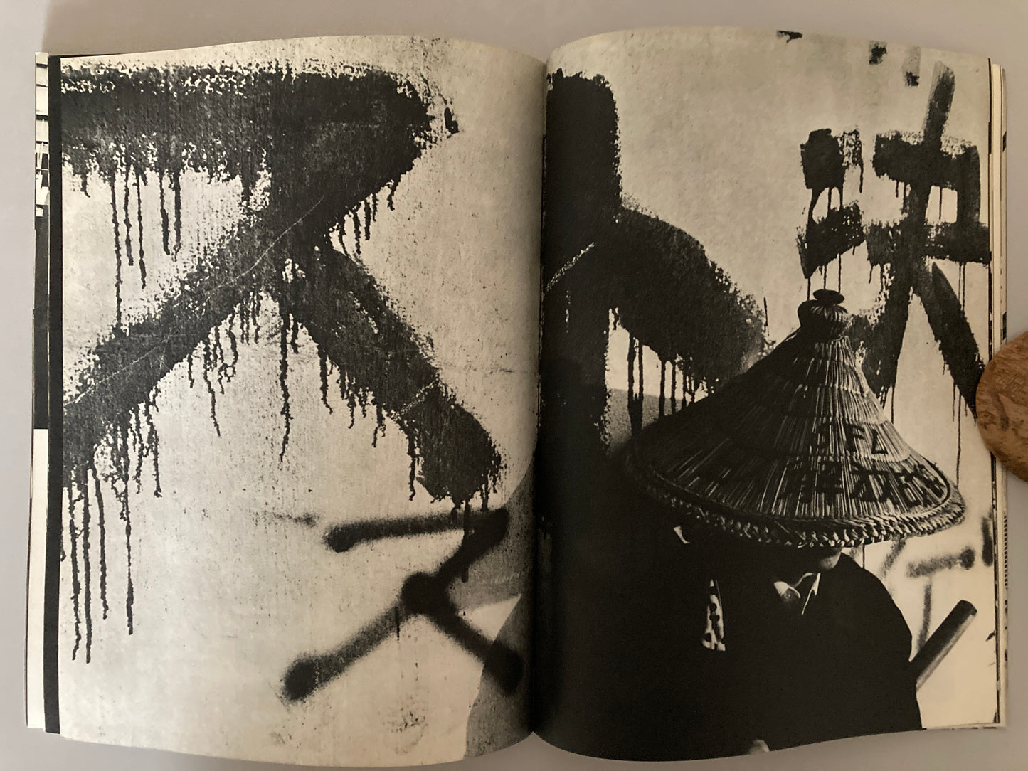 Nichidai Toso — The Struggle at Nihon University (日大闘争), 1969 First Edition