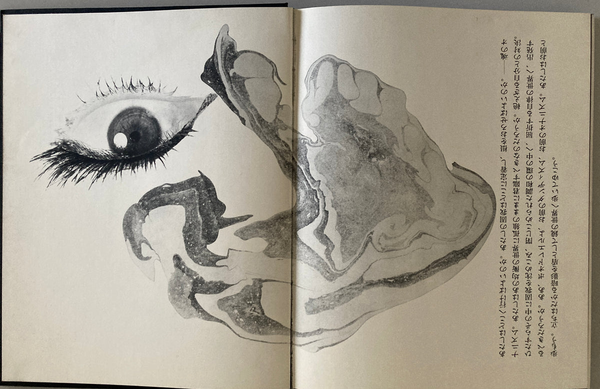 Les Fleurs du Mal 悪の華 わが性からの復権 1968 First ed Akira Suzuki & Mako Midori