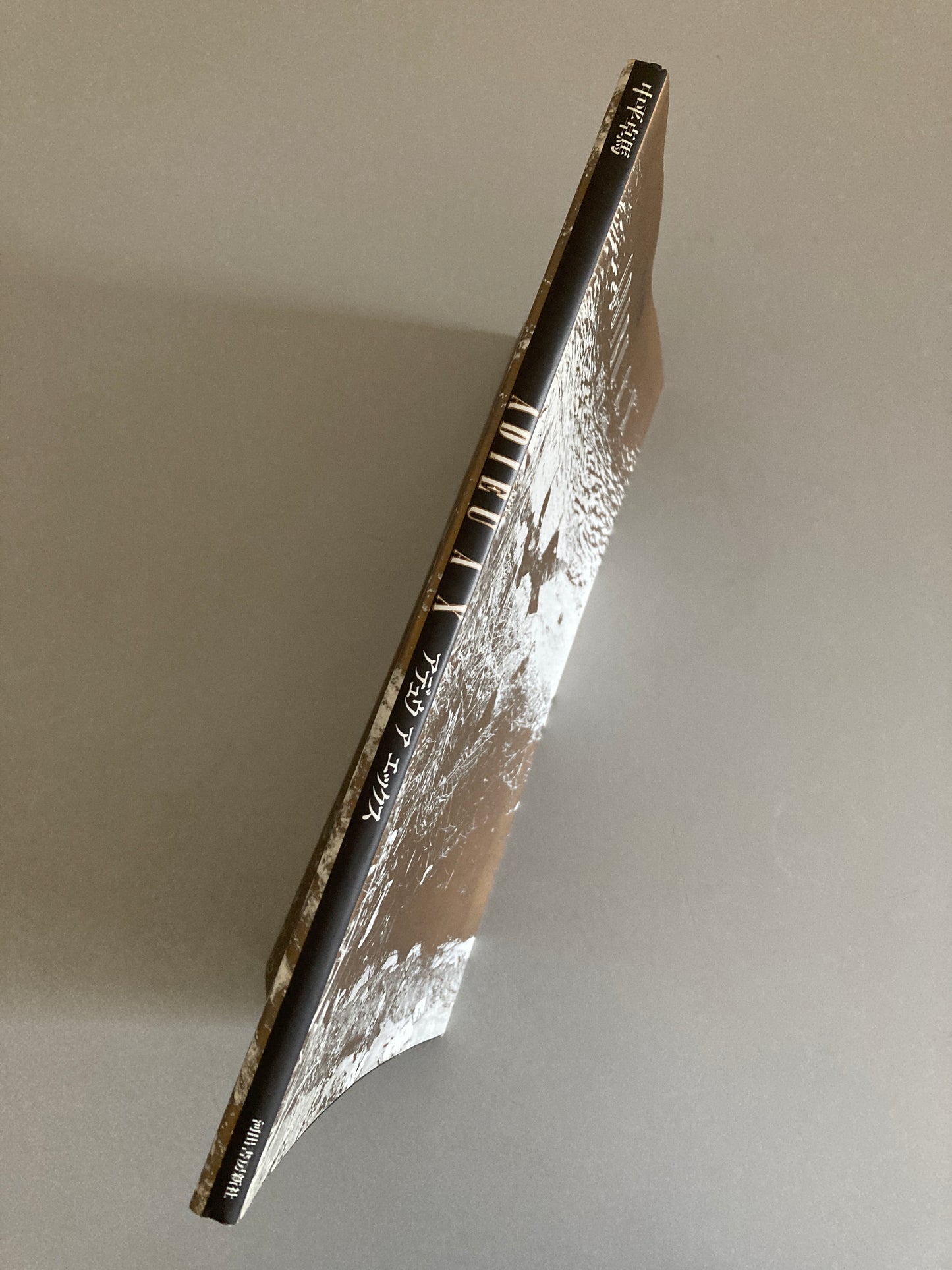 Takuma Nakahira — Adieu à X, 1989 First Edition, First Printing