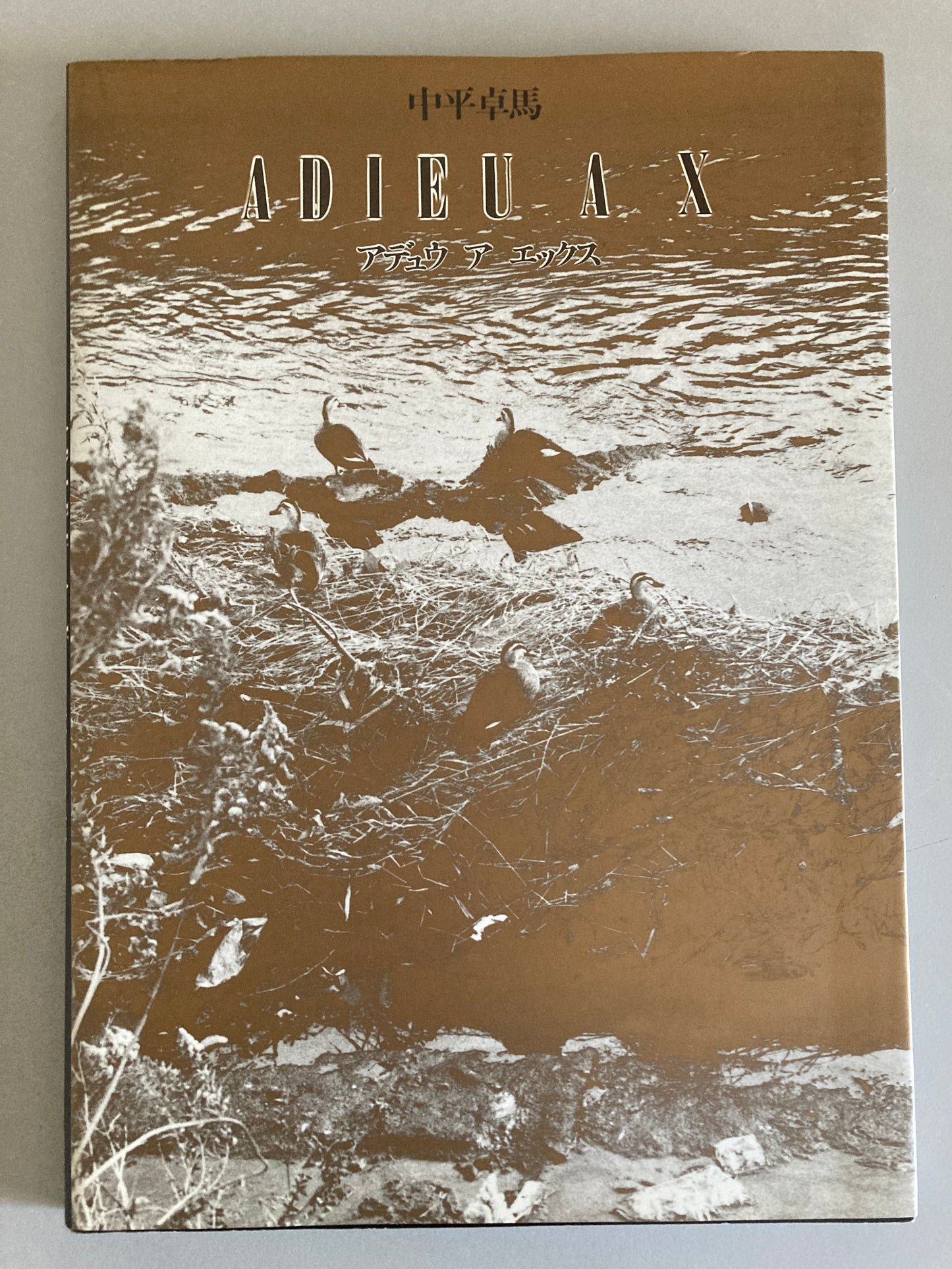 Takuma Nakahira — Adieu à X, 1989 First Edition, First Printing