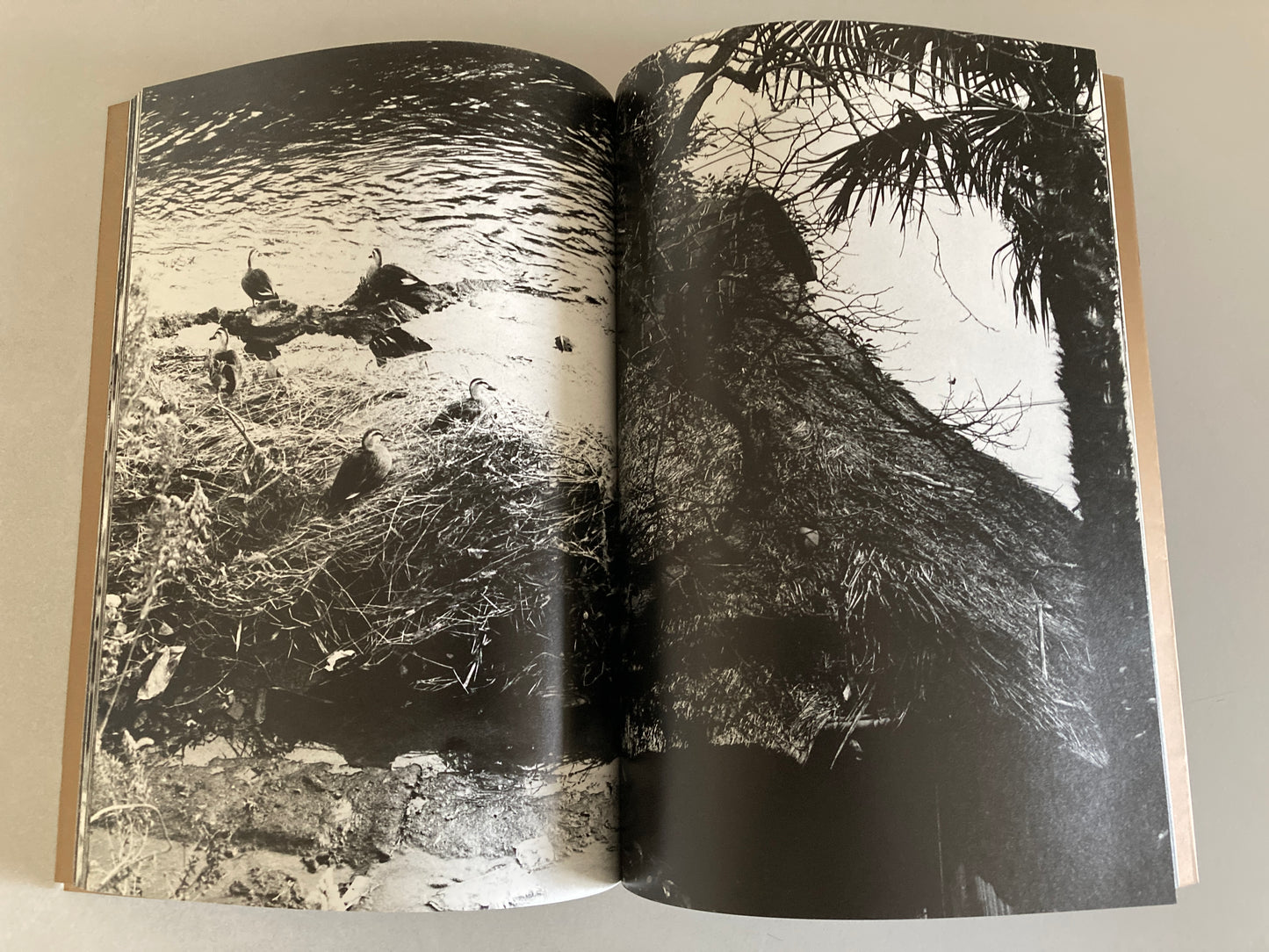 Takuma Nakahira — Adieu à X, 1989 First Edition, First Printing