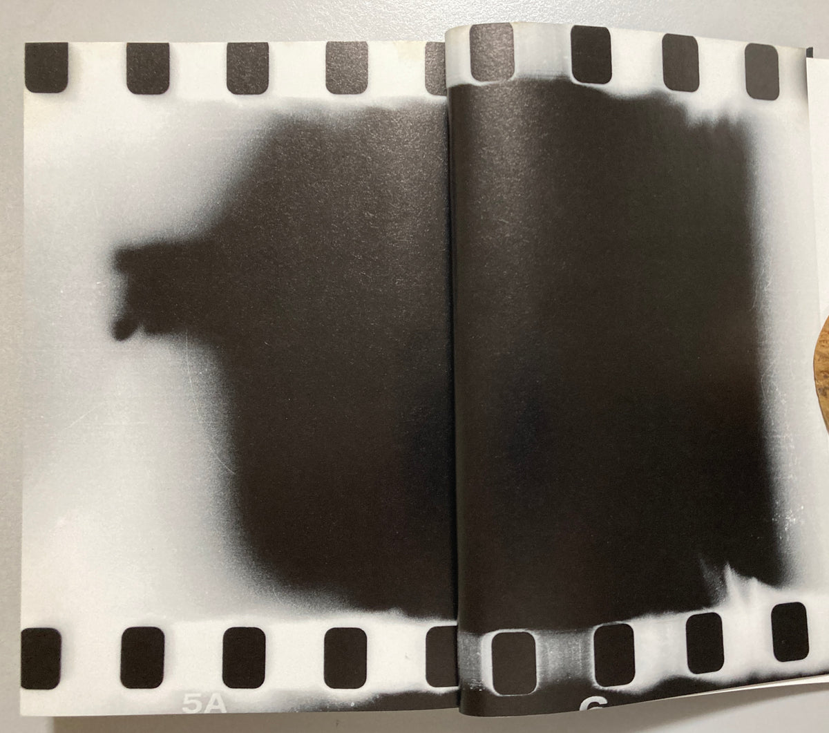 Daido Moriyama - The Passerby's Eye 2014 First ed w/obi SIGNED
