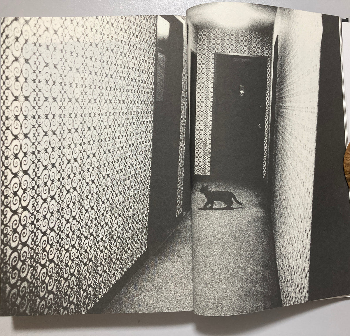 SIGNED Daido Moriyama - The Passerby's Eye 2014 First ed w/obi