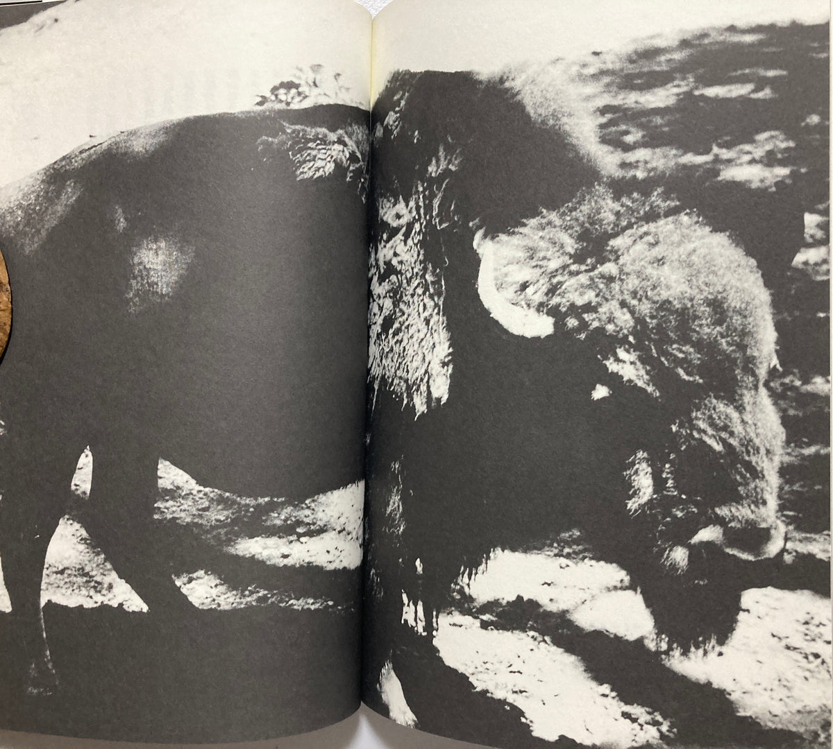 SIGNED Daido Moriyama - The Passerby's Eye 2014 First ed w/obi