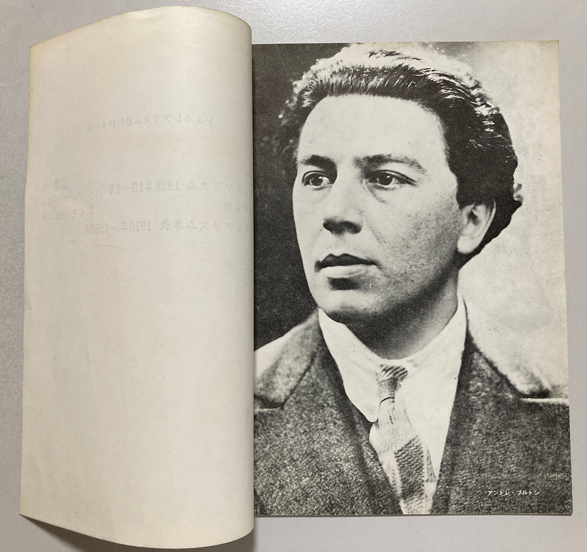 André Breton  Paul Éluard Abridged Dictionary of Surrealism 1971 Japanese First ed