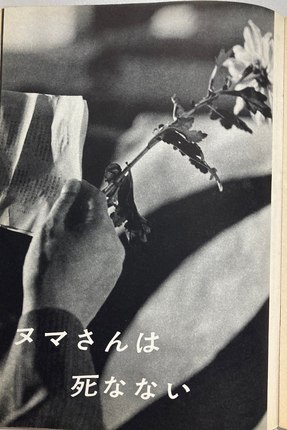 Tokyo Stabbing: Inejiro Asanuma Assassination Documentary, 1960 First Edition
